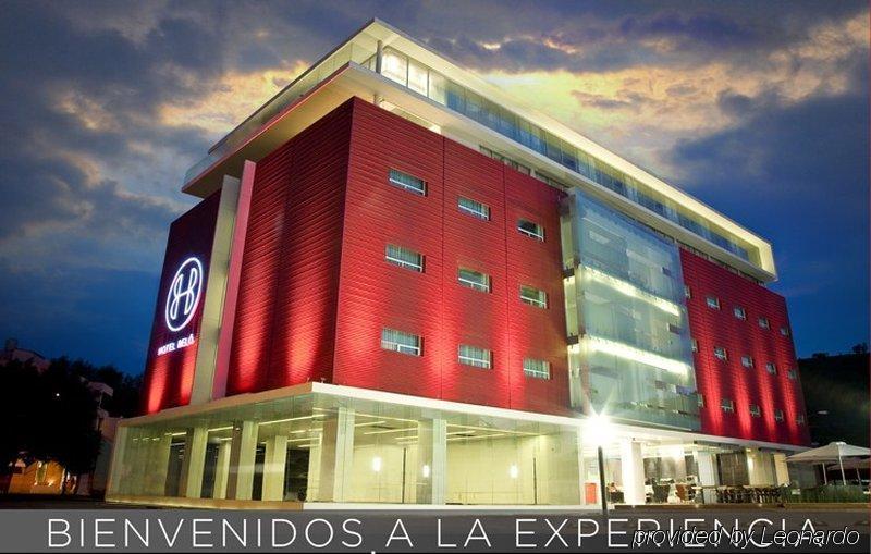 Gamma Morelia Belo Kültér fotó